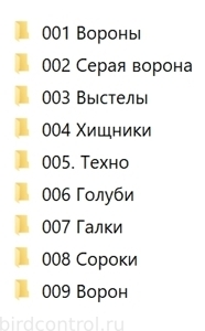 записаные звуки