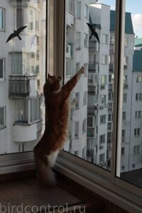 Facebook-20150209-040733