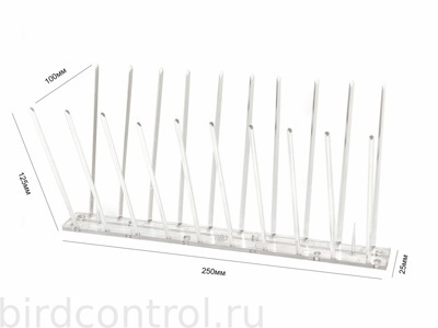 «Ёж-стандарт»