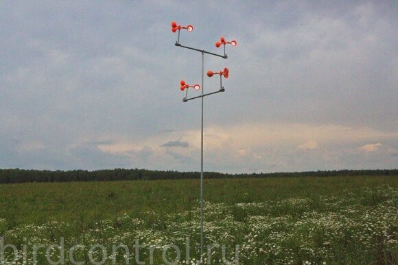 4H2B3442.CR2_новый размер_новый размер